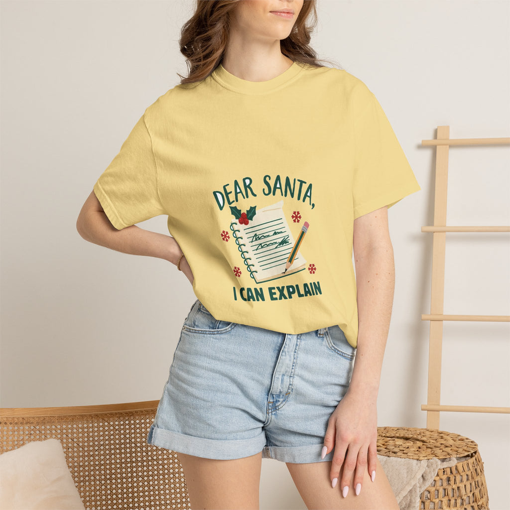 Dear Santa I Can Explain — Funny Christmas Tee
