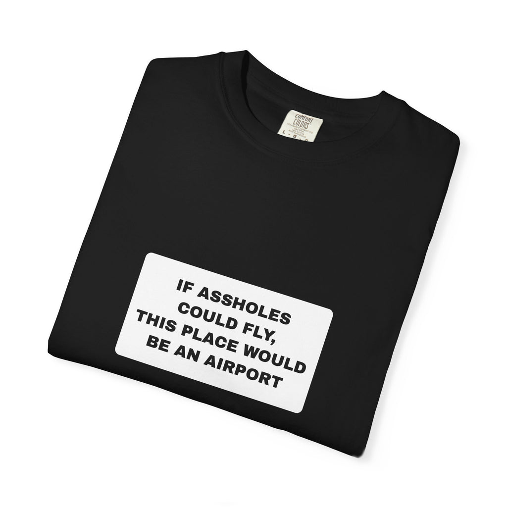 Humor — If assholes could fly (18+)