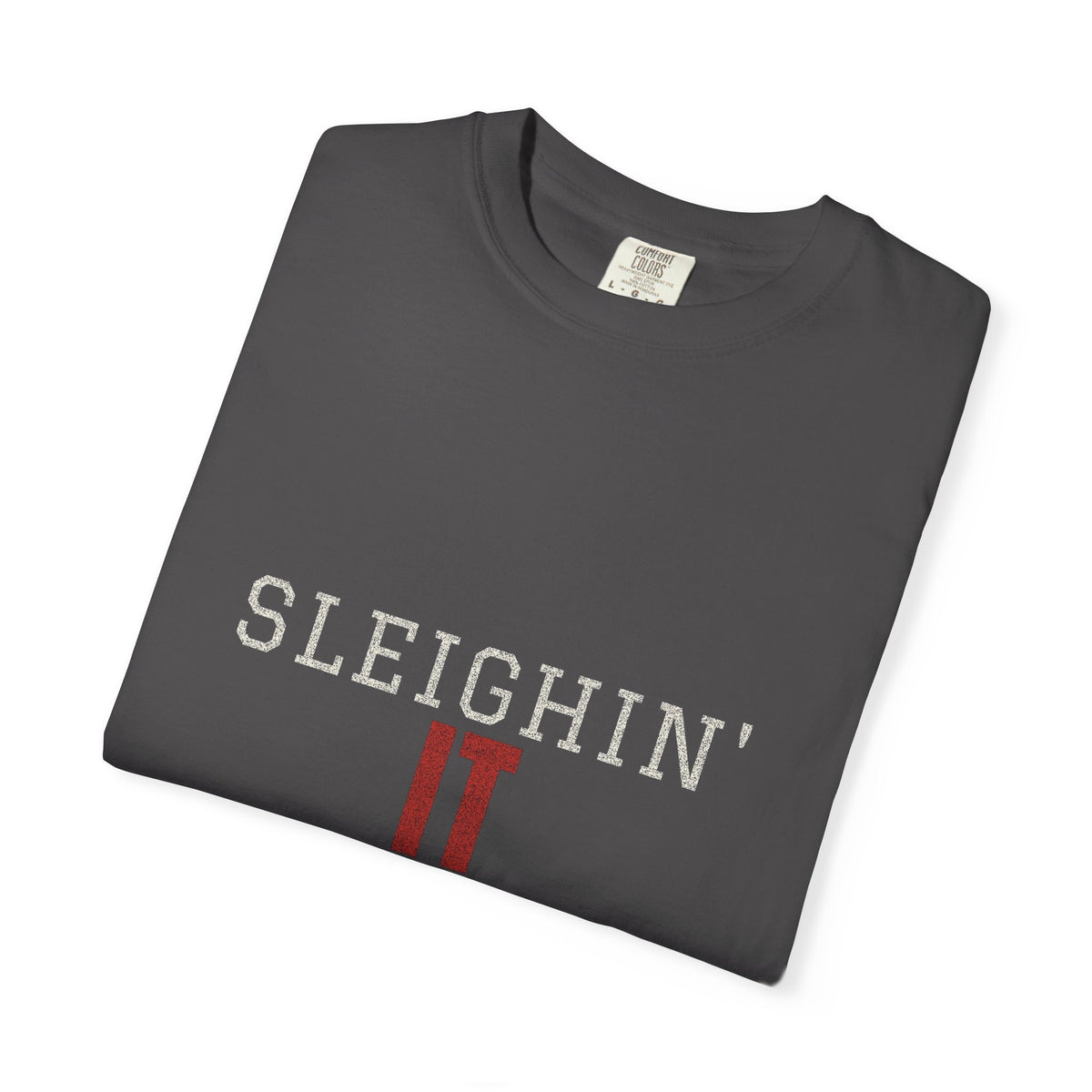 Sleighin' It