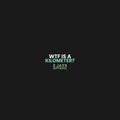 WTF Is A Kilometer Funny USA Shirt | American Humor Tee