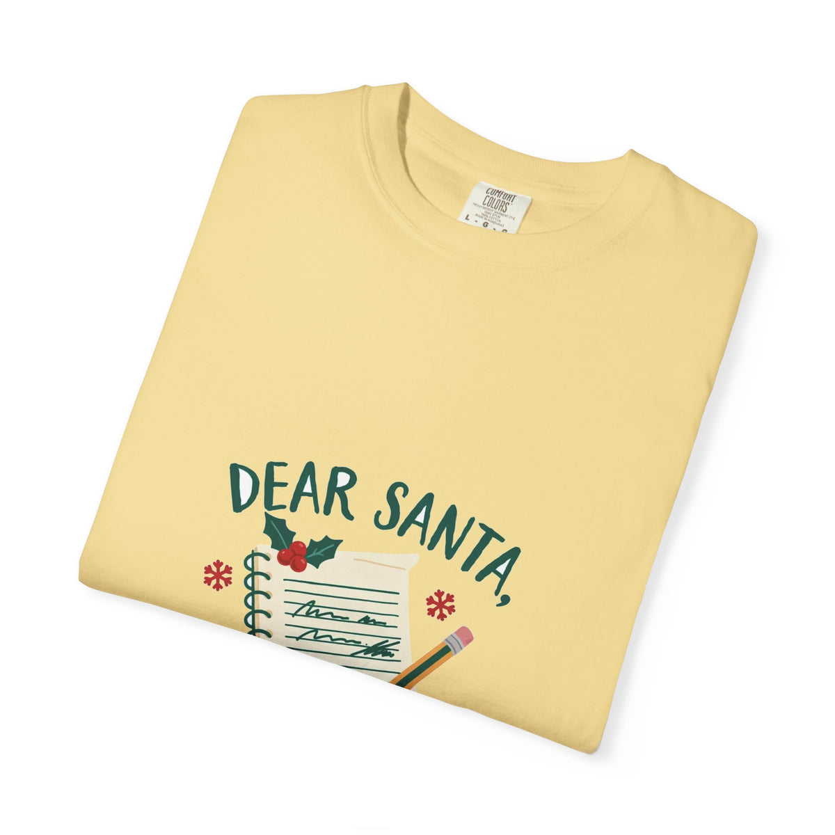 Dear Santa I Can Explain — Funny Christmas Tee