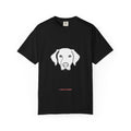 Golden Retriever Line