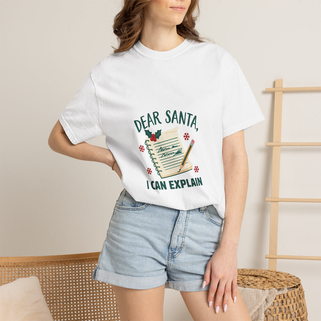 Dear Santa I Can Explain — Funny Christmas Tee