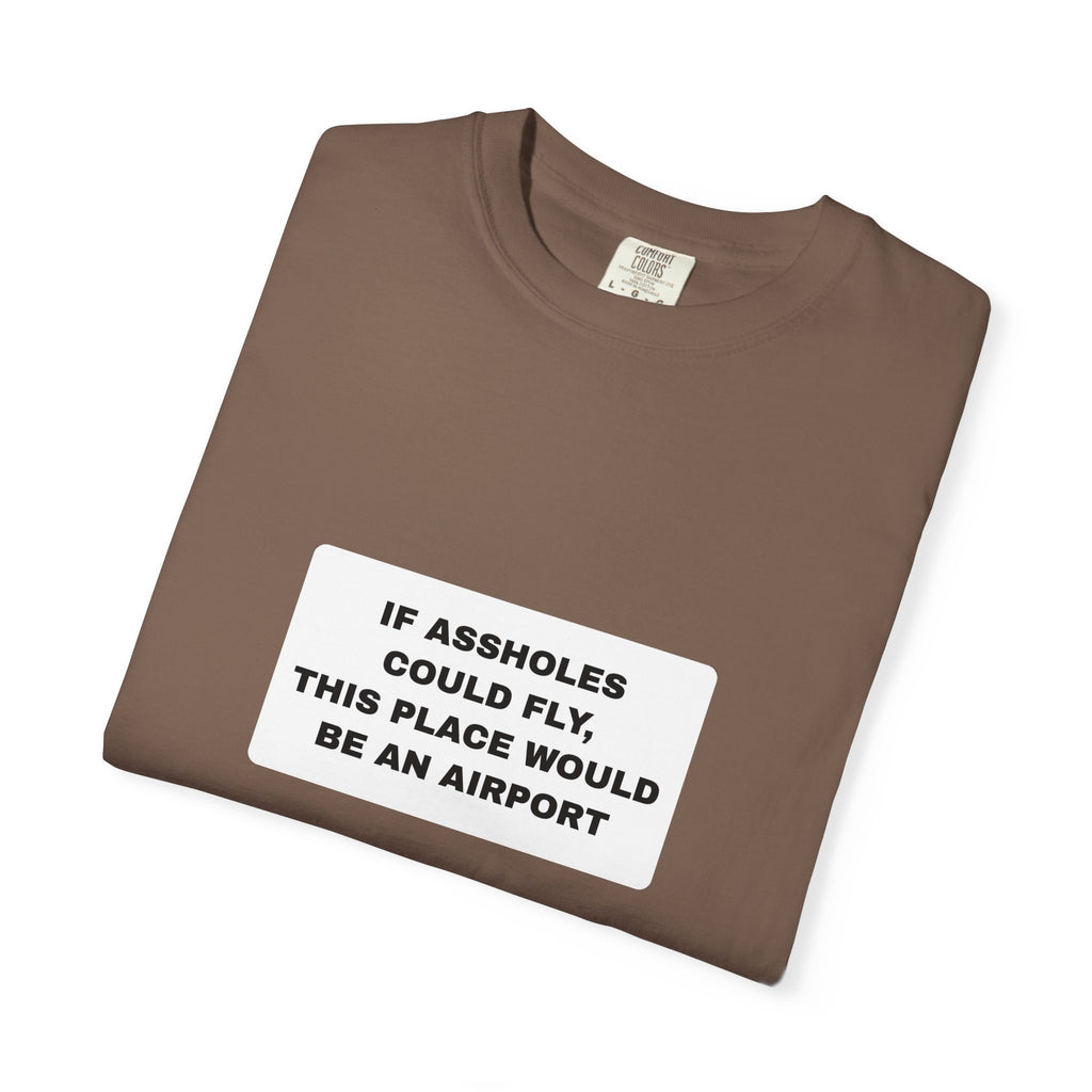 Humor — If assholes could fly (18+)