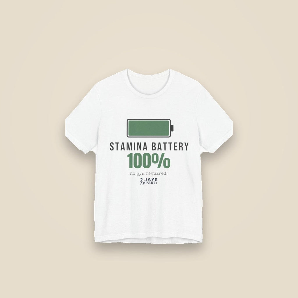 stamina battery clean